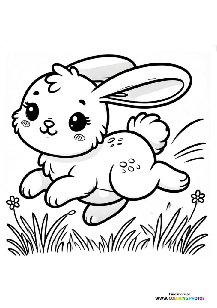 Bunny running on grass