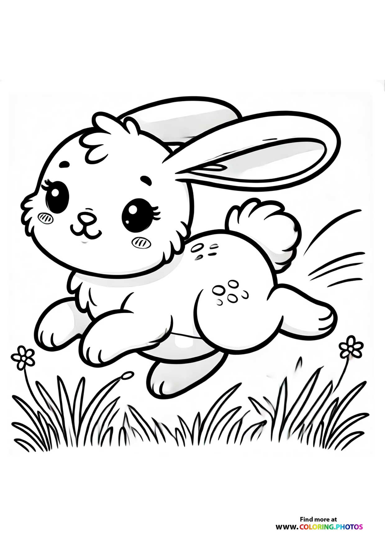 Bunny running on grass