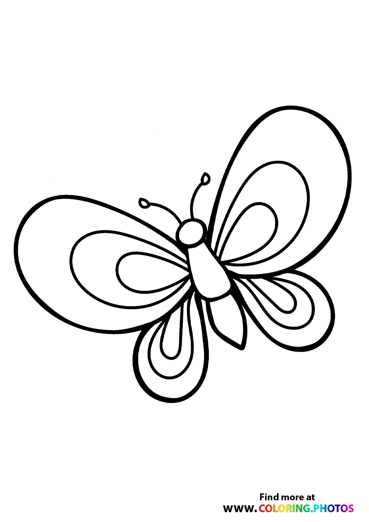 Butterfly coloring page