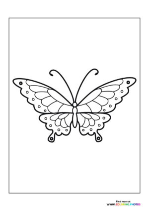 Butterfly with circles
