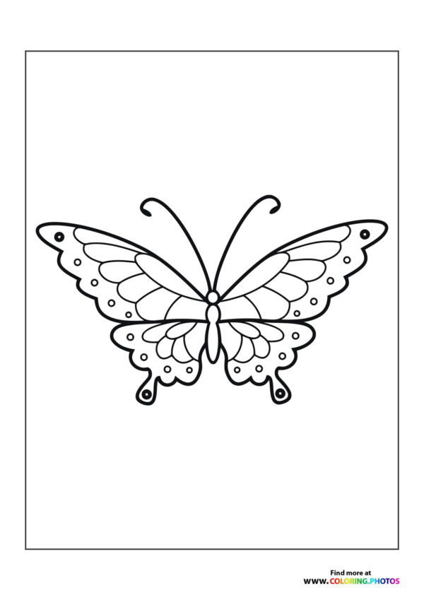 Butterfly with circles
