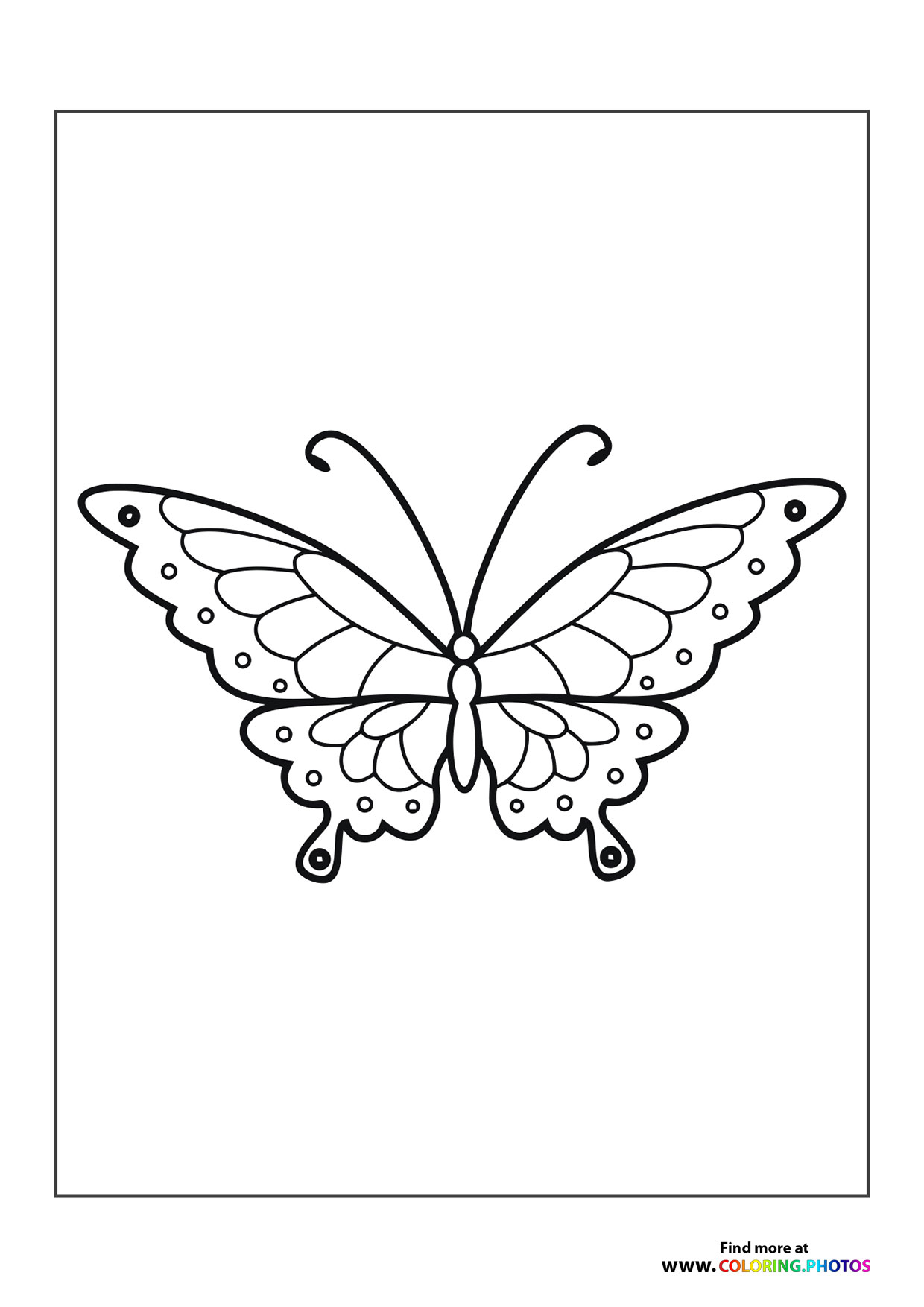 Butterfly with circles
