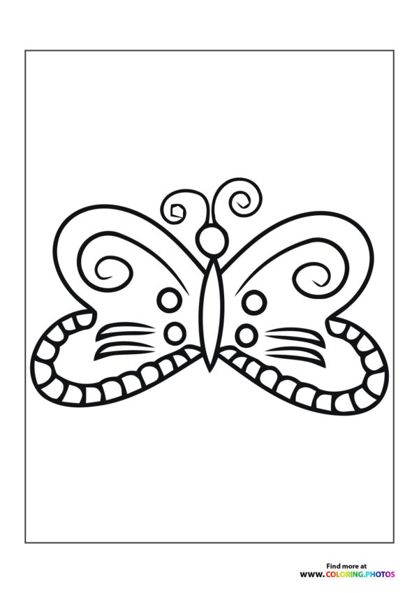 Butterfly with nice wings
