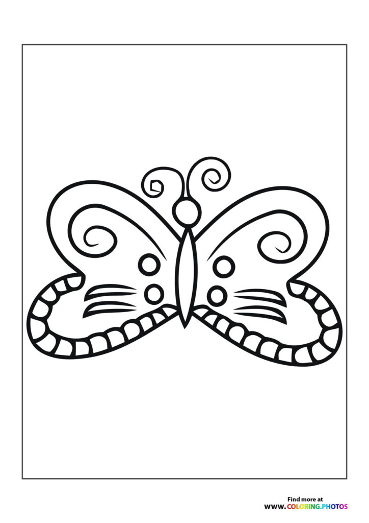 Butterfly with nice wings