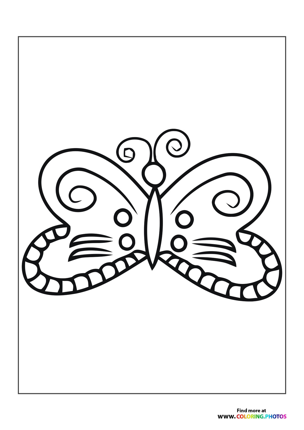Butterfly with nice wings