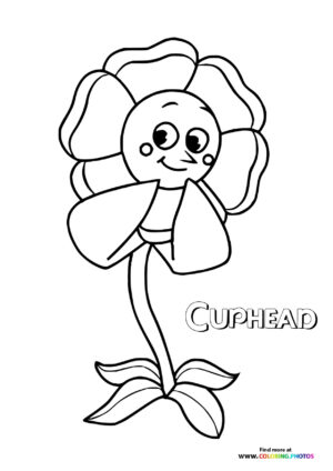 Cagney Carnation Flower