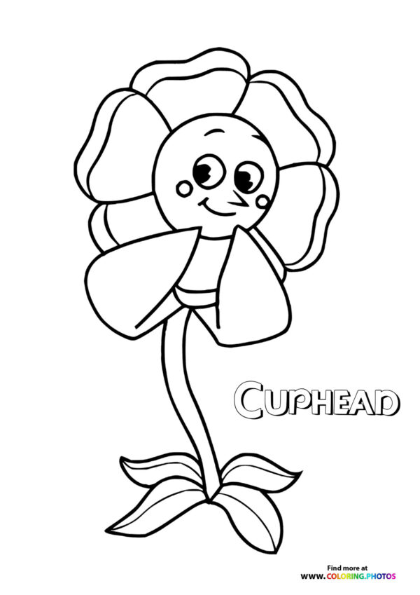 Cagney Carnation Flower