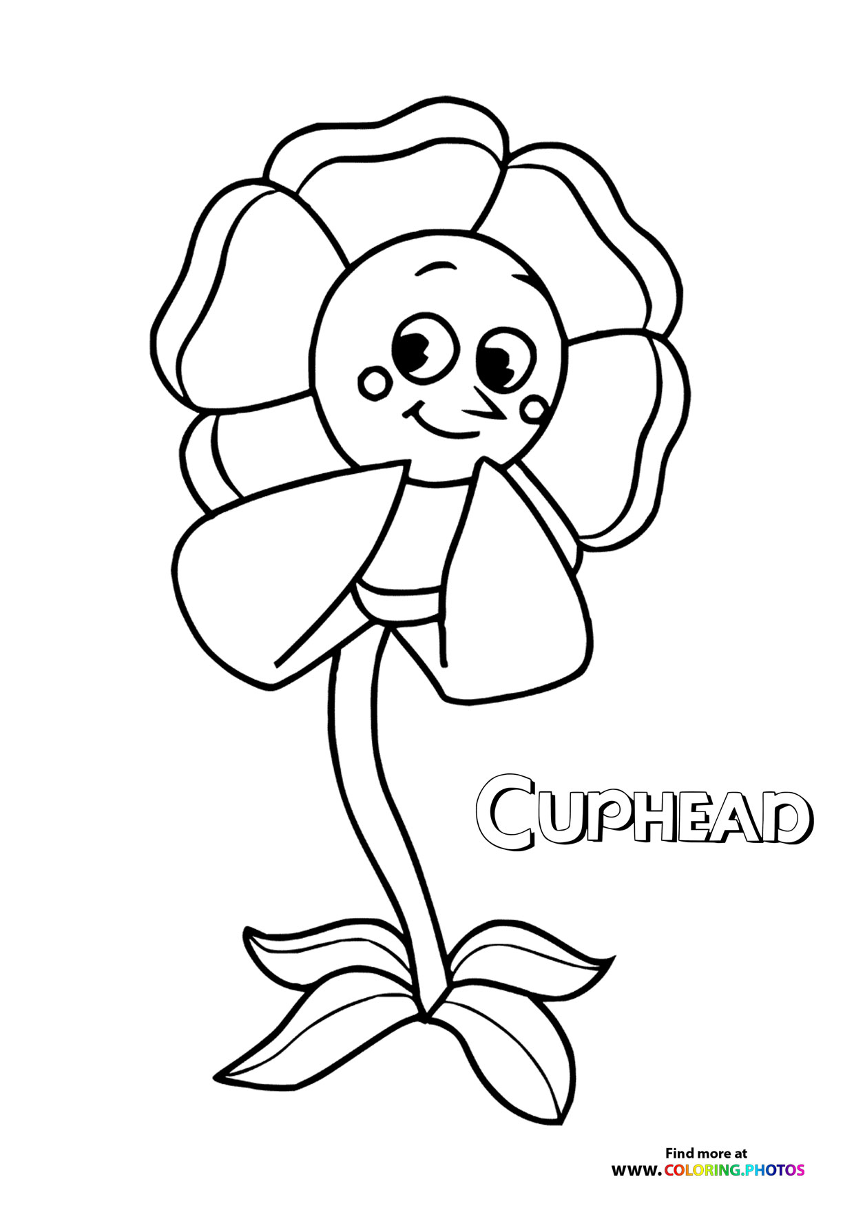 Cagney Carnation Flower