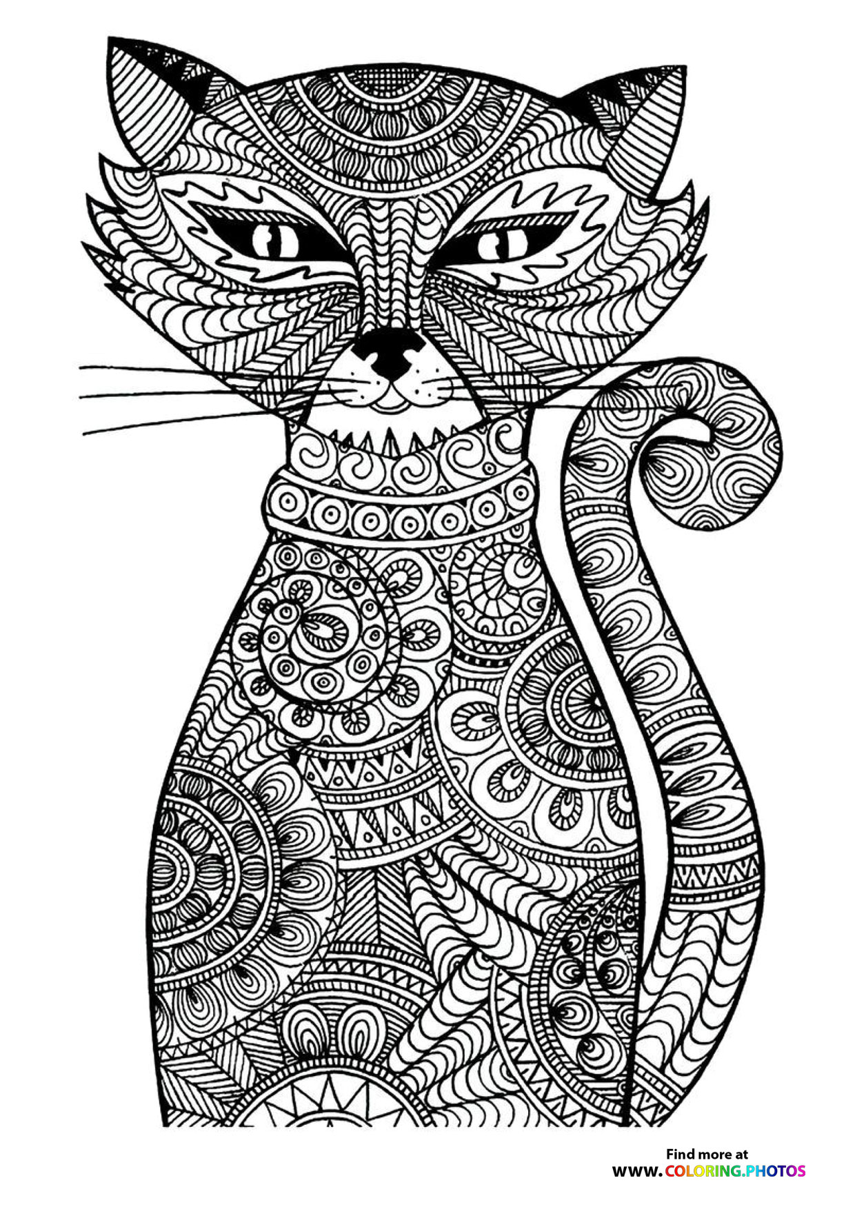 Cat coloring page for adults