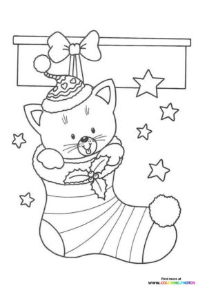 Festive Kitten in Christmas Stocking