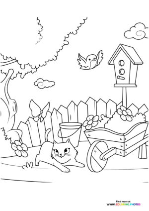 Cat in spring