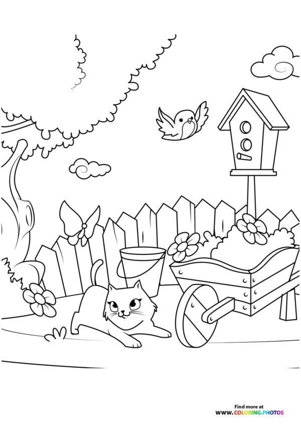 Cat in spring