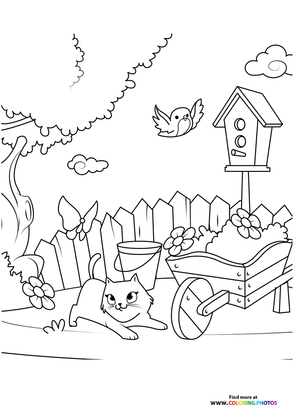 Cat in spring