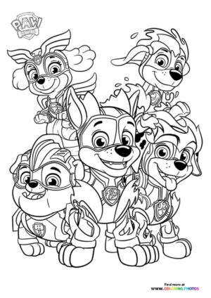 Paw Patrol Team Ready for Rescue
