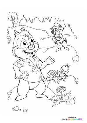 Chip and Dale's Snowy Adventure