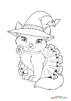 Cute hallween cat