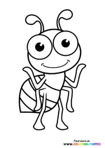 Ants