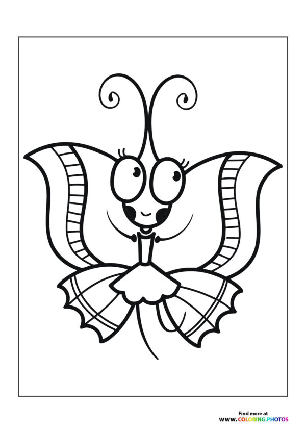 Cute butterfly in dress