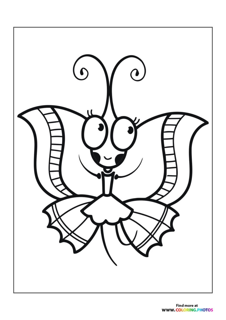Cute butterfly in dress