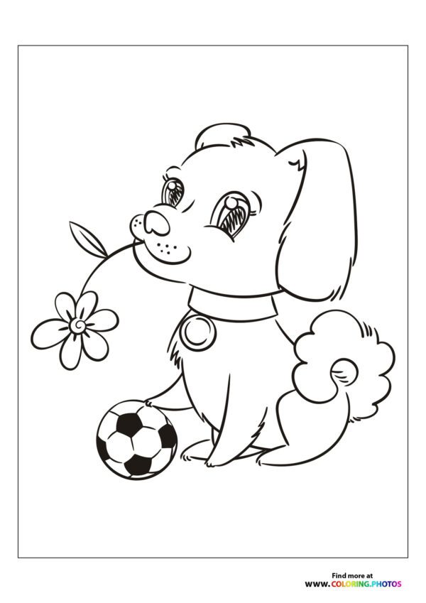 Cute dog with football