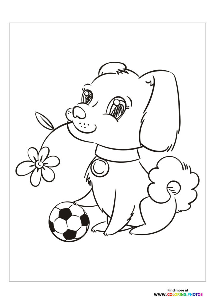 Cute dog with football