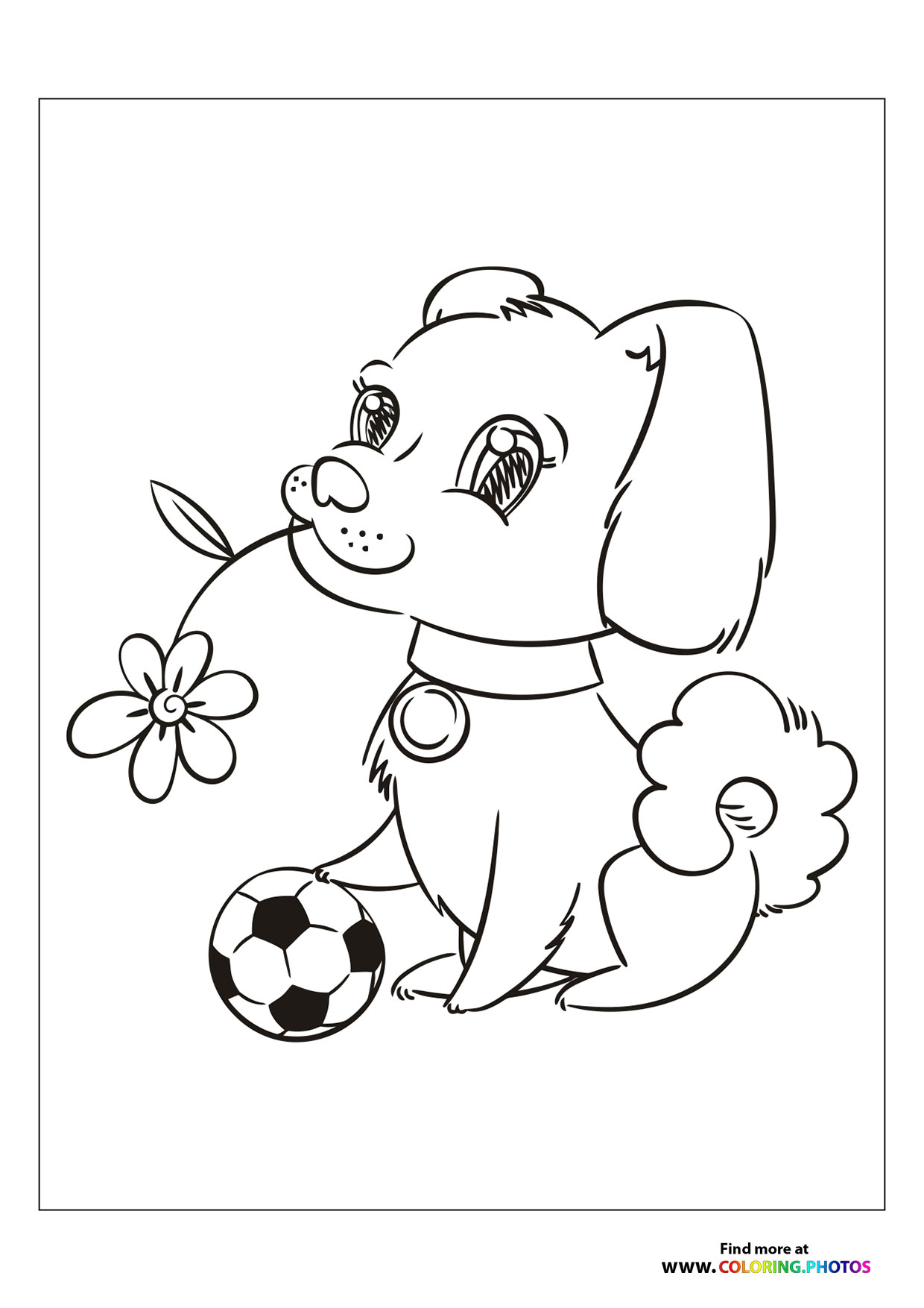 Cute dog with football