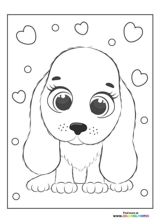 Cute female puppy