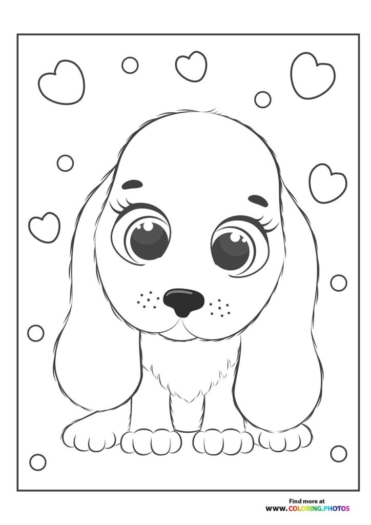 Cute female puppy