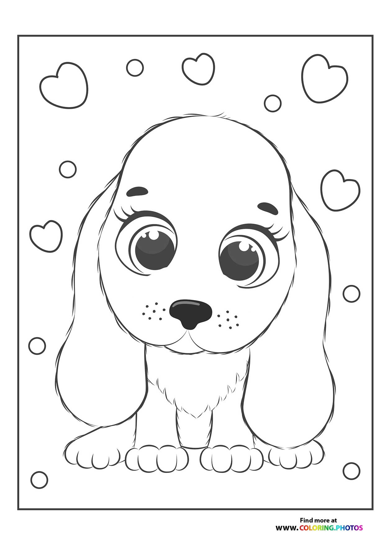 Cute female puppy