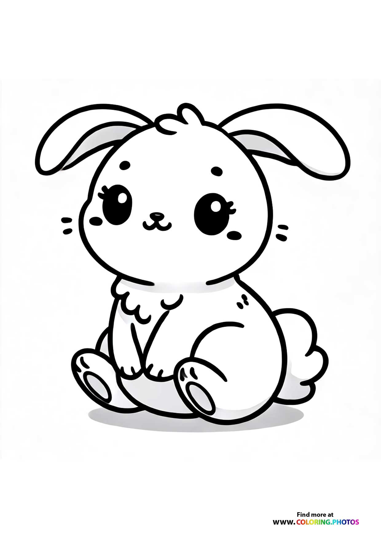 Cute little bunny
