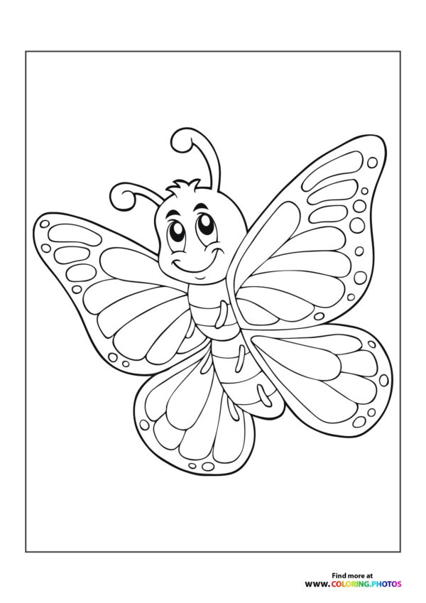 Cute little butterfly