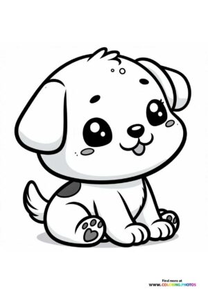 Cute little puppy