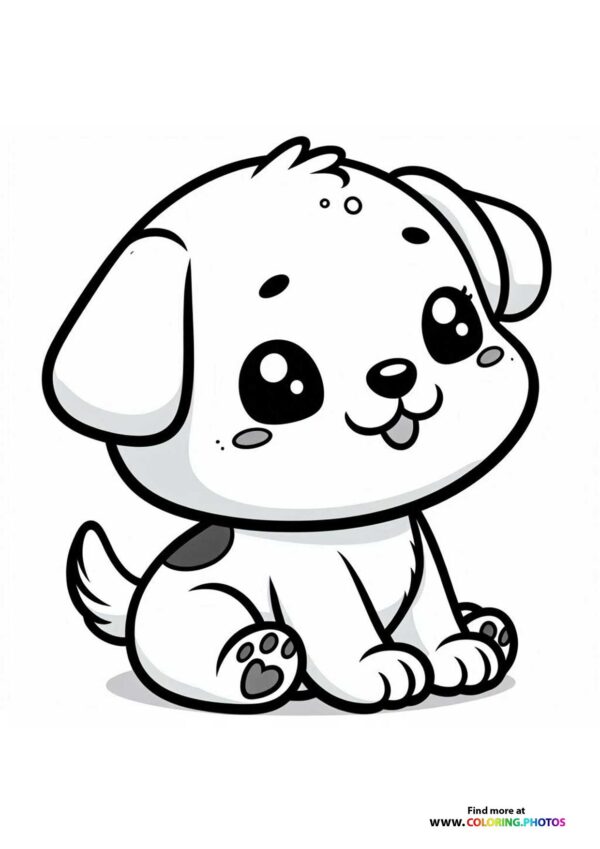 Cute little puppy
