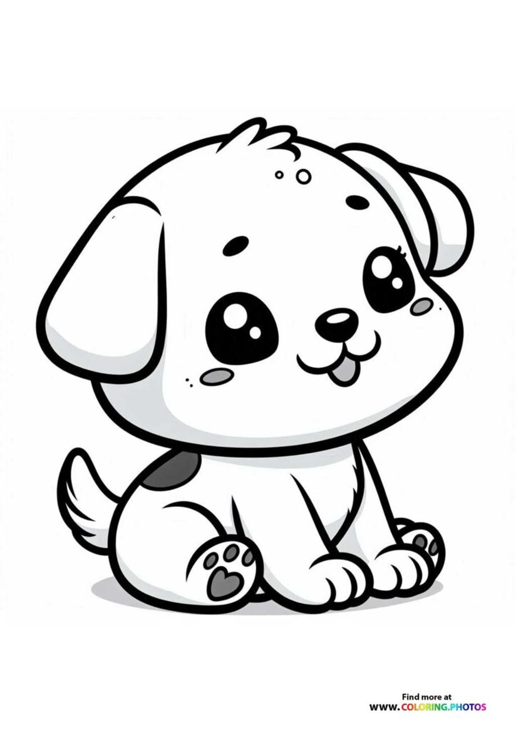Cute little puppy