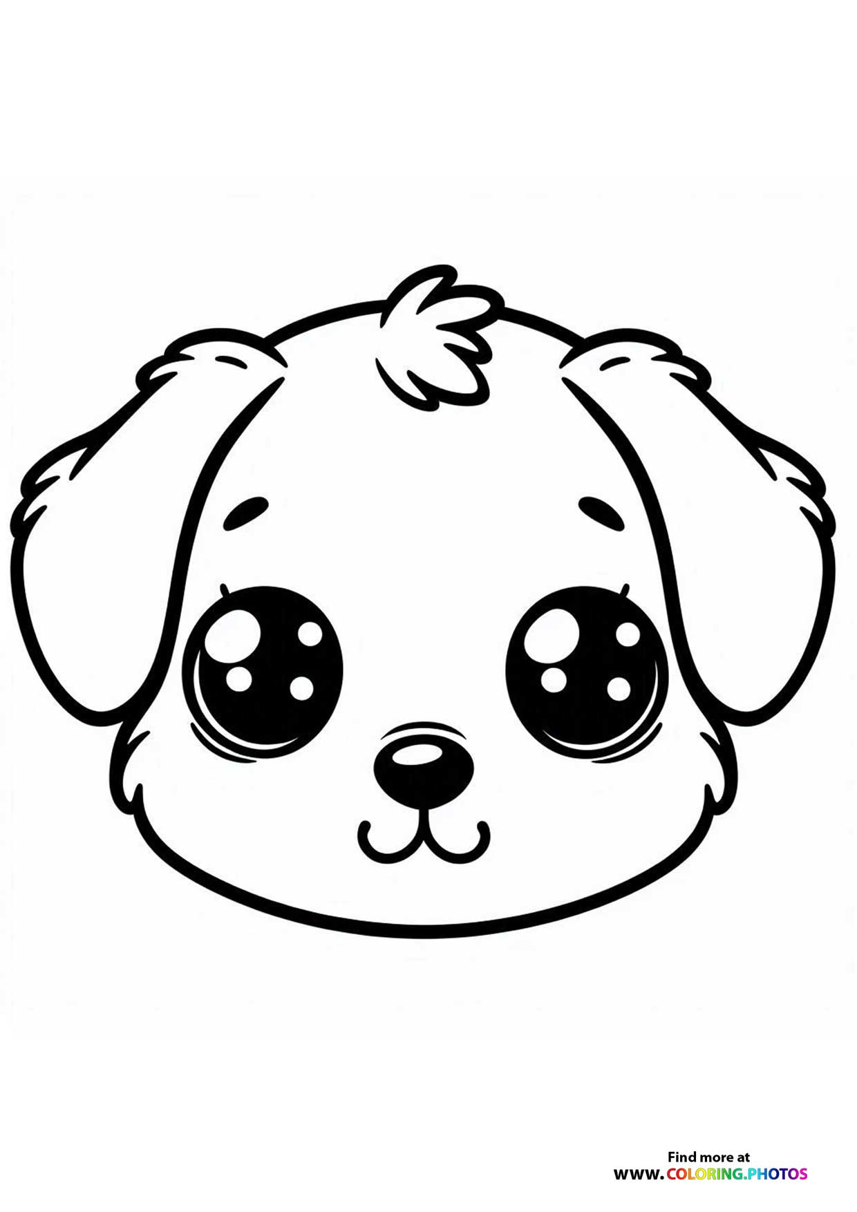 Cute little puppy face