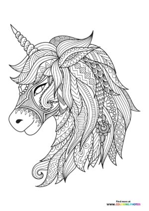 Cute unicorn adult