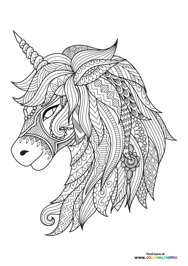 Cute unicorn adult