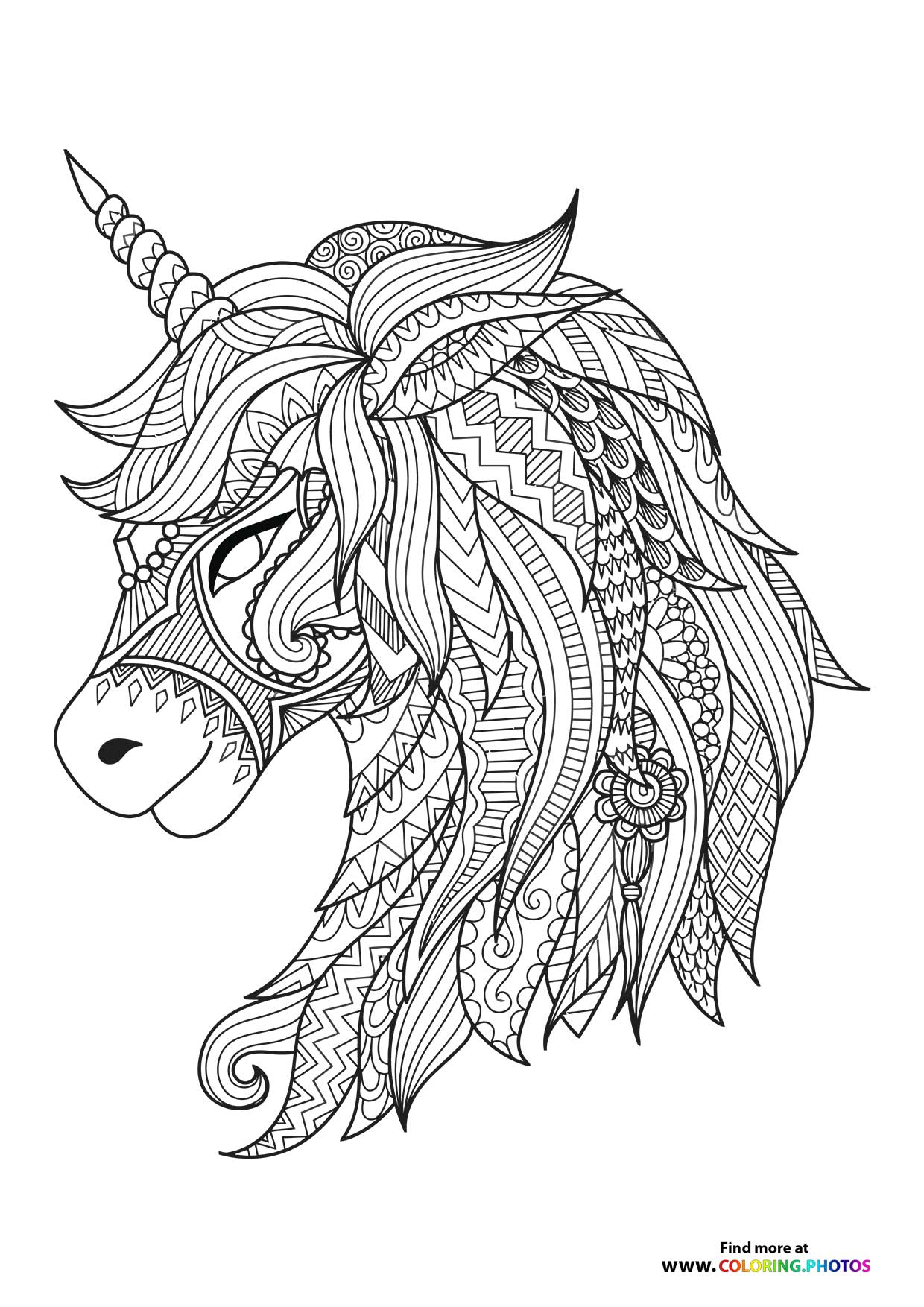 Cute unicorn adult