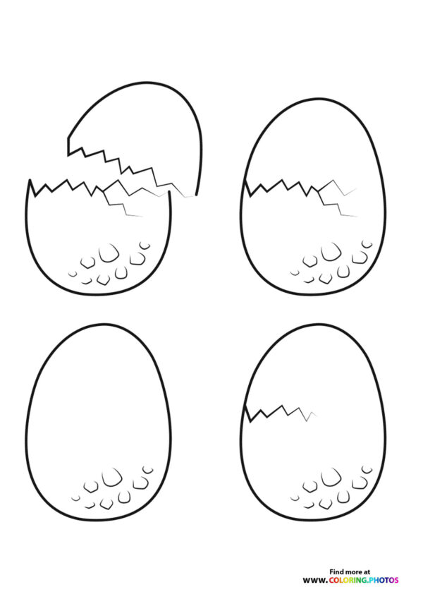 Dinosaur Eggs from Camp Cretaceous
