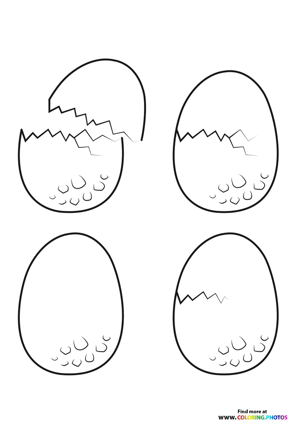 Dinosaur Eggs from Camp Cretaceous