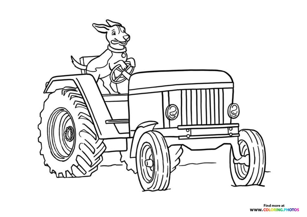 Dog driving tractor