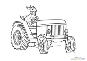Dog driving tractor