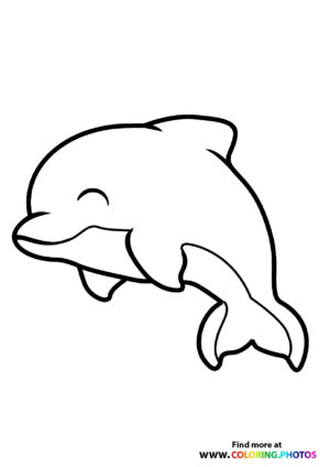 Dolphin jumping in the air