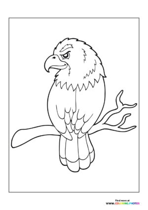 Eagle