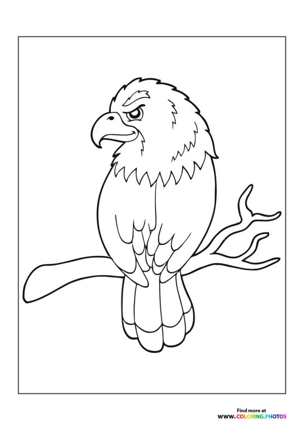 Eagle