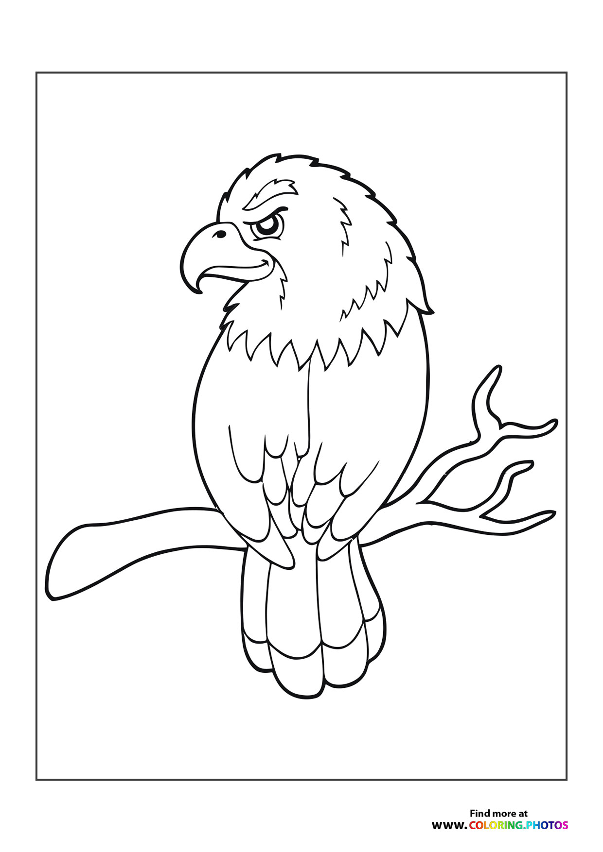 Eagle