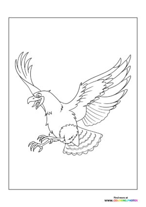 Eagle flying