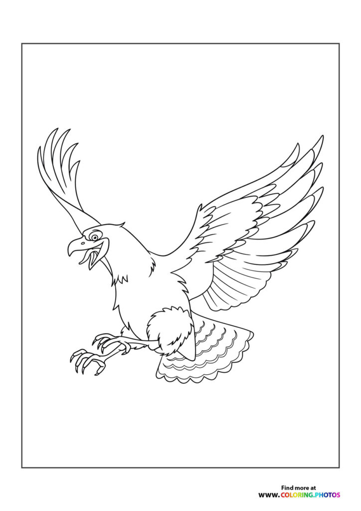 Eagle flying
