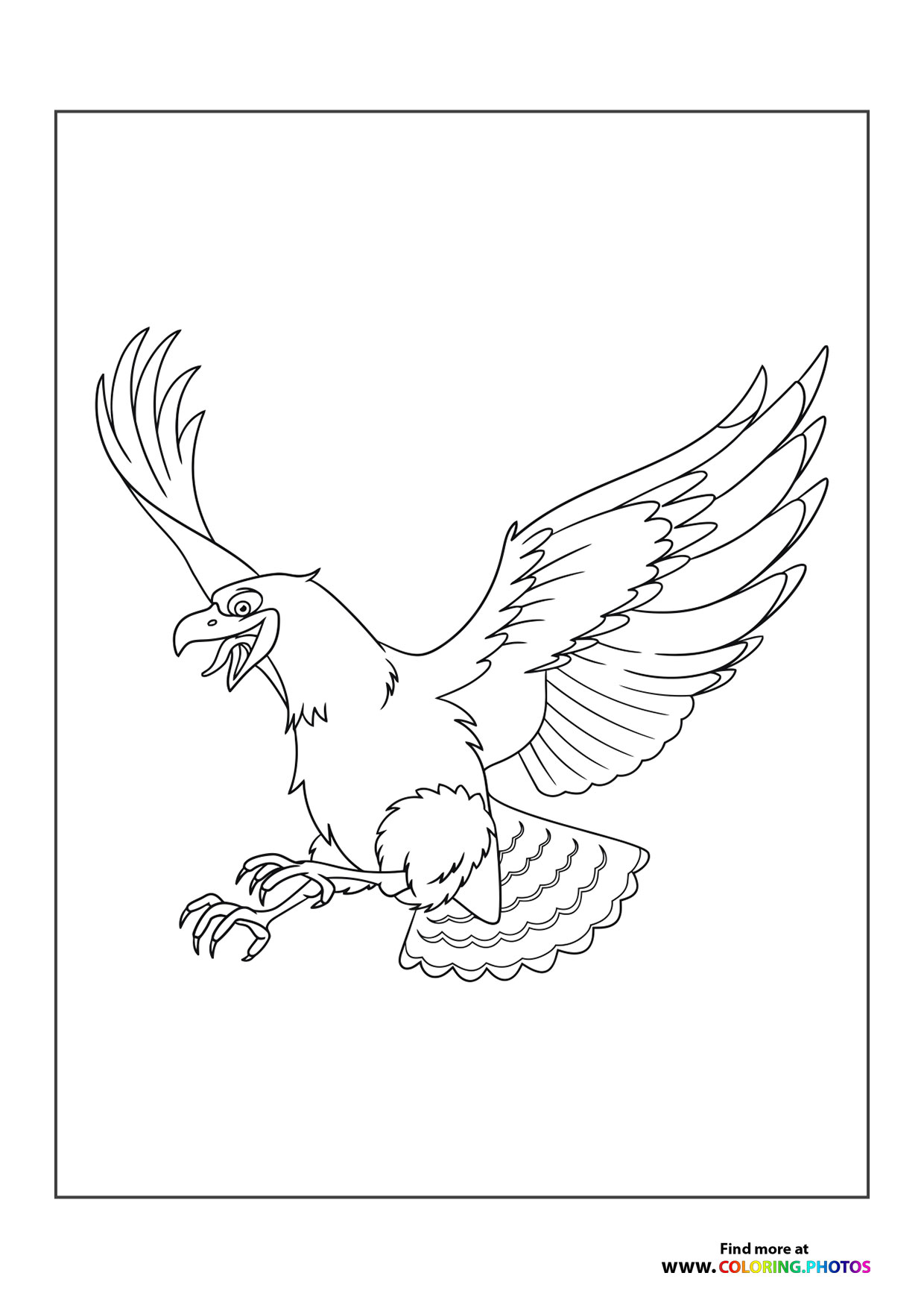 Eagle flying