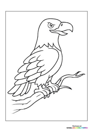Eagle on a branch